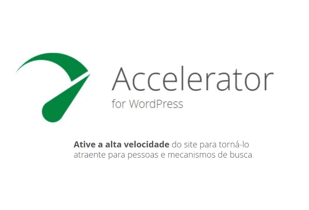 Seraphinite Accelerator v2.29.1